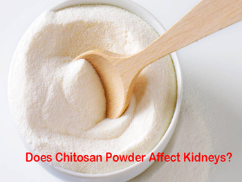 Does Chitosan Powder Affect Kidneys?